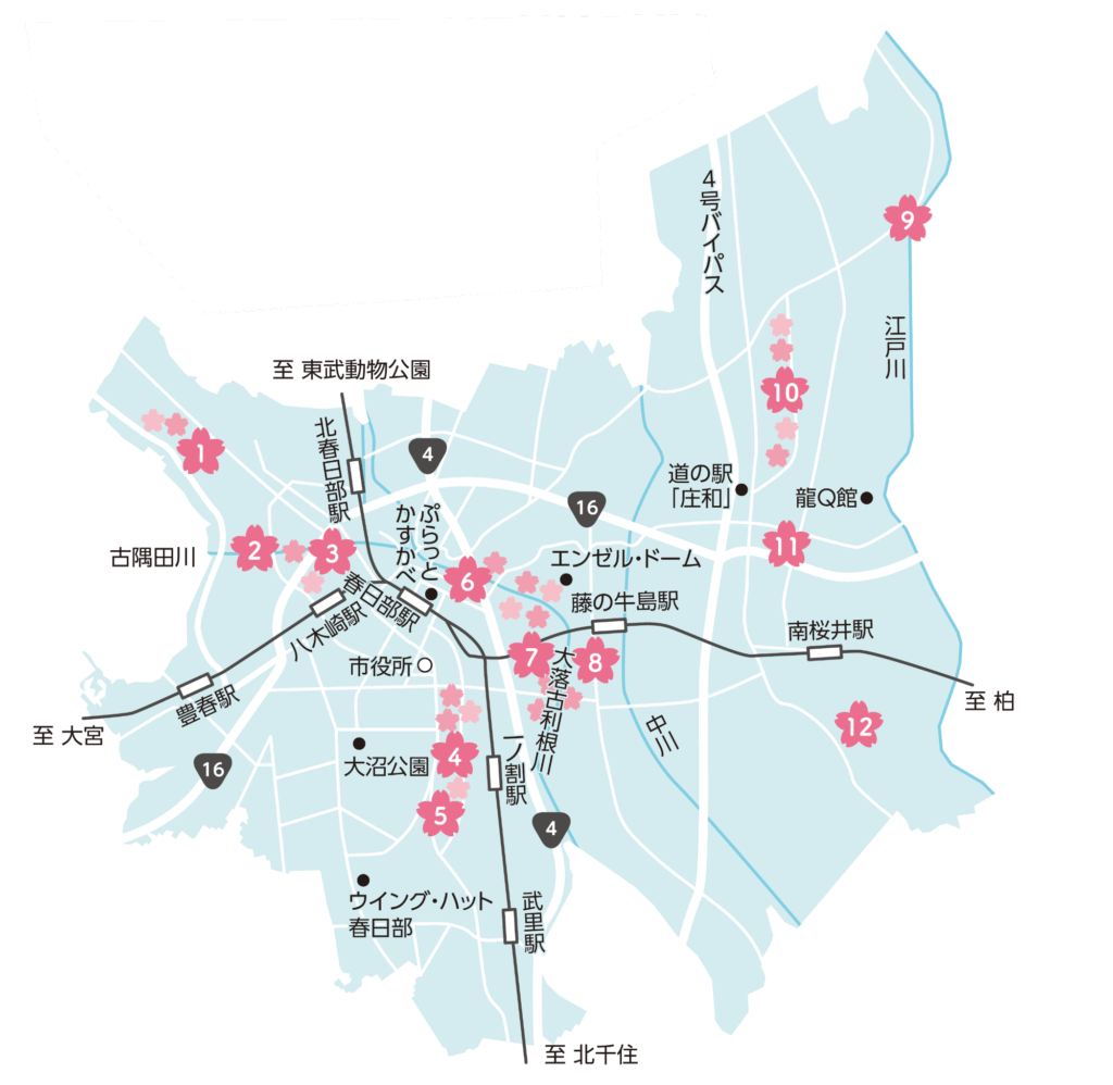 春日部の桜の名所