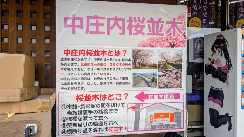 中庄内川桜並木の看板