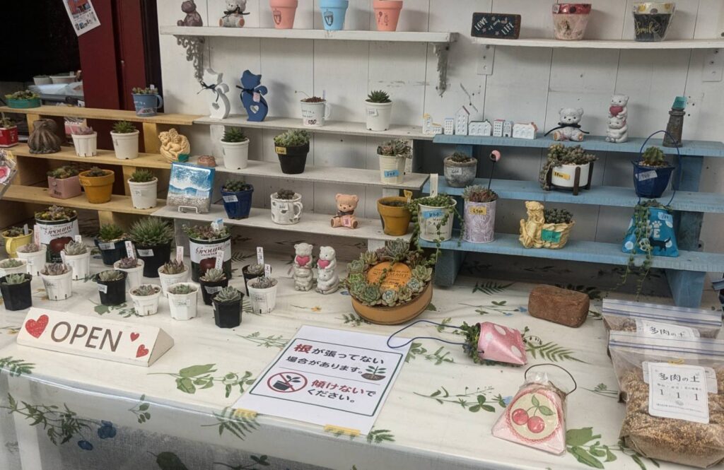 多肉植物販売